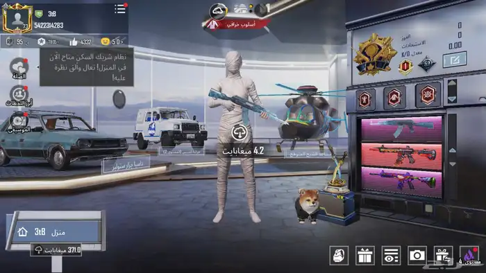 حساب ببجي للبيع فخمم 800 3