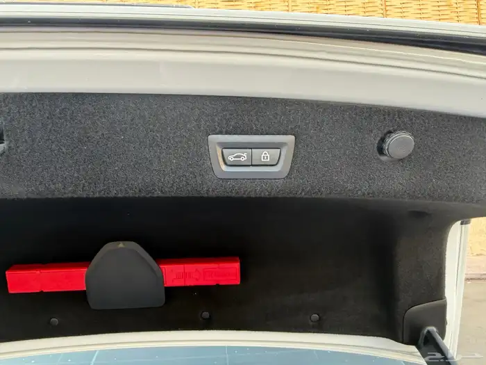 2020 Li730 BMW 21