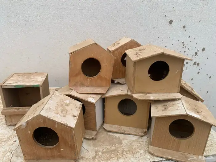 اعشاش زيبرا اكواخ وسعف 0