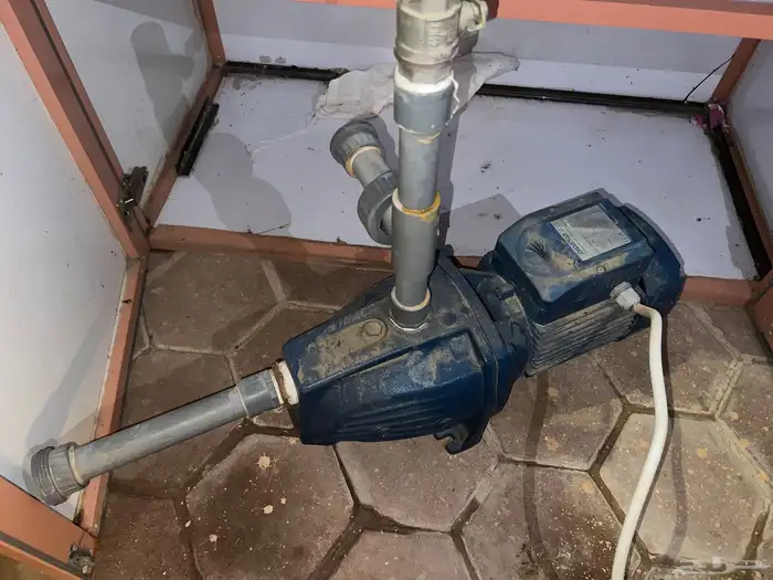 دينو شفط (حرامي) 1