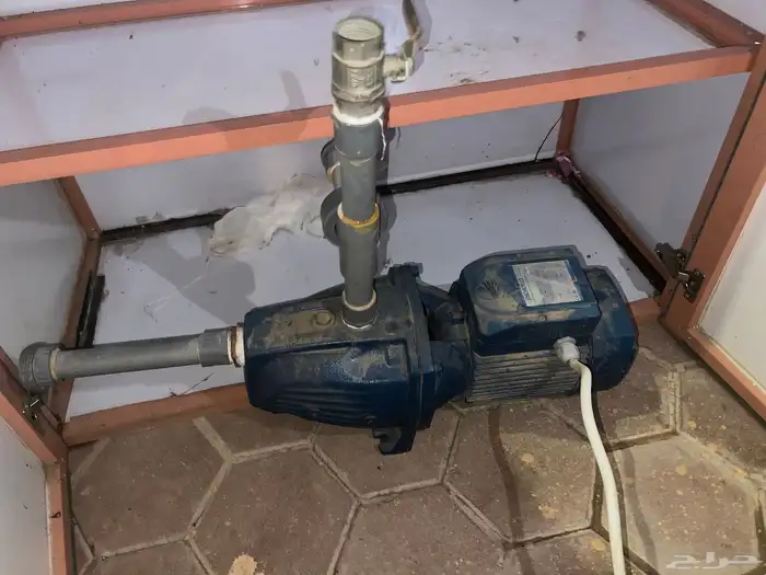 دينو شفط (حرامي) 2