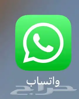 قروب و تساب دجاج الي وده يدخل يرسل رقمه دجاج بريده فقط 0