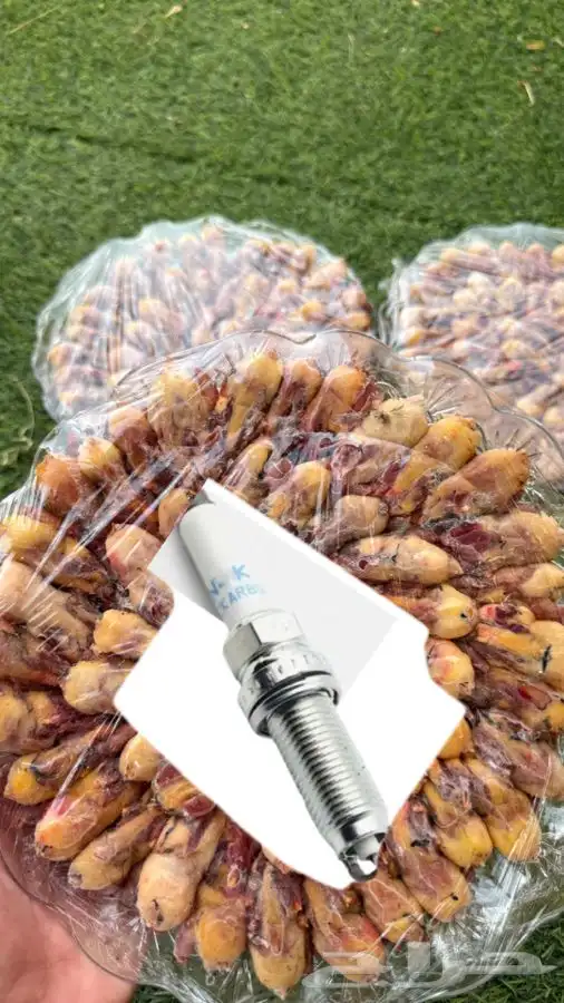 للبيع دخل منتوف جاهز محلي صيد السنه طازج 2