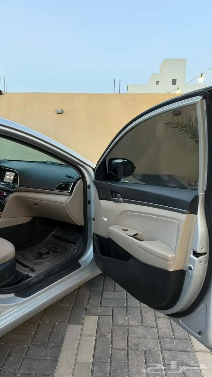 النتراء 2018 13