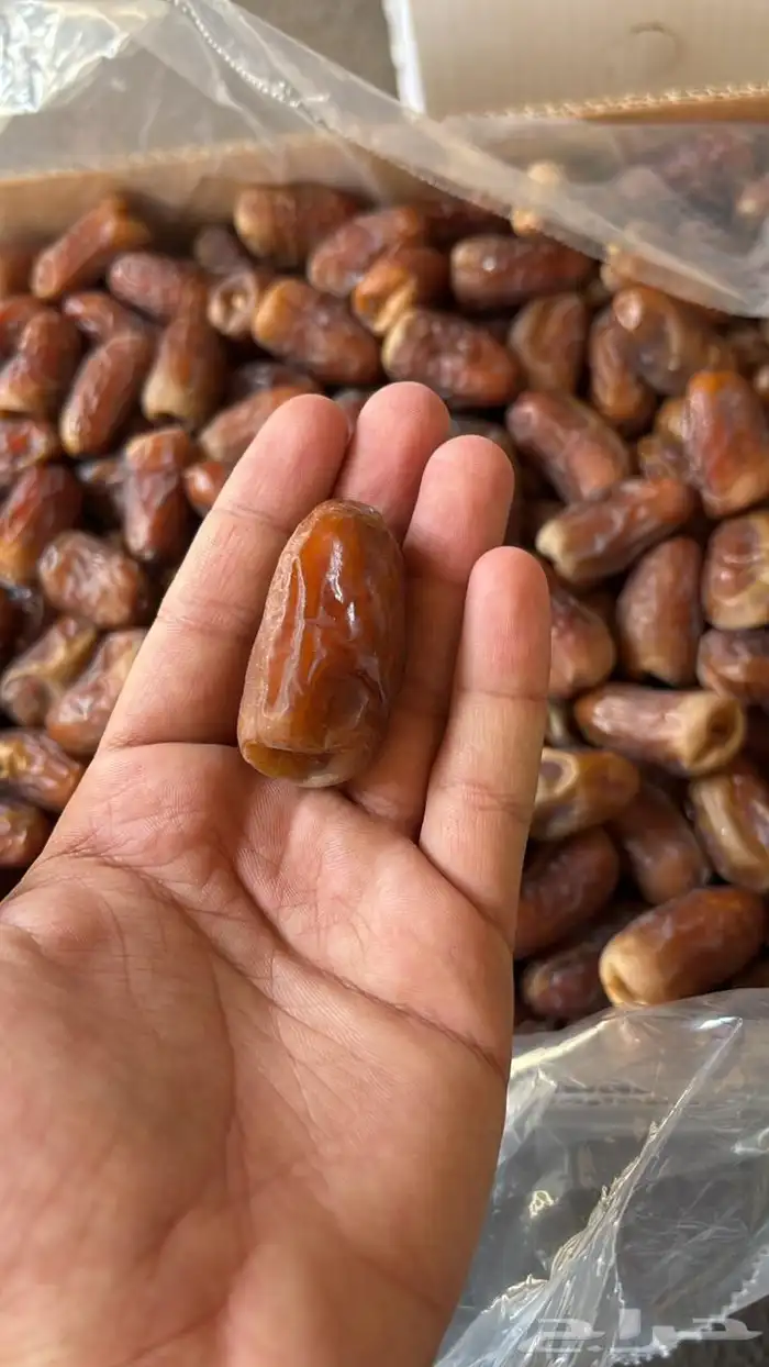 برني العيص الفرع 2