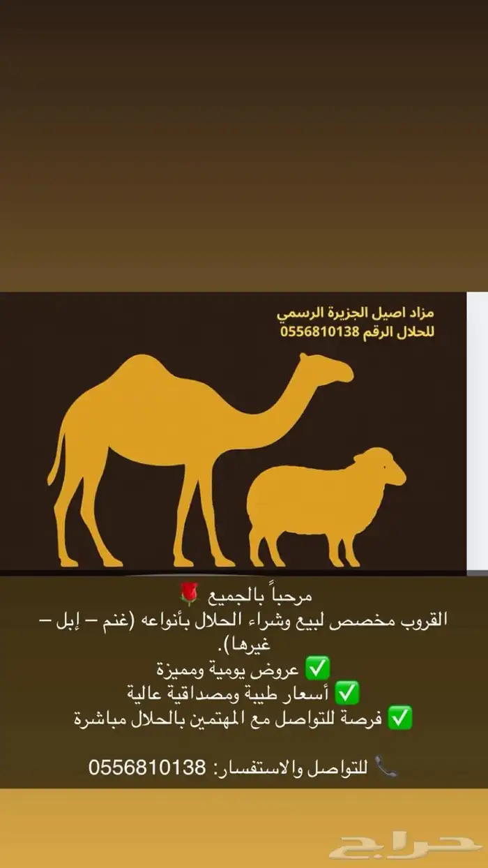 قروب حلال اصيل الجزيرة الرسمي 0