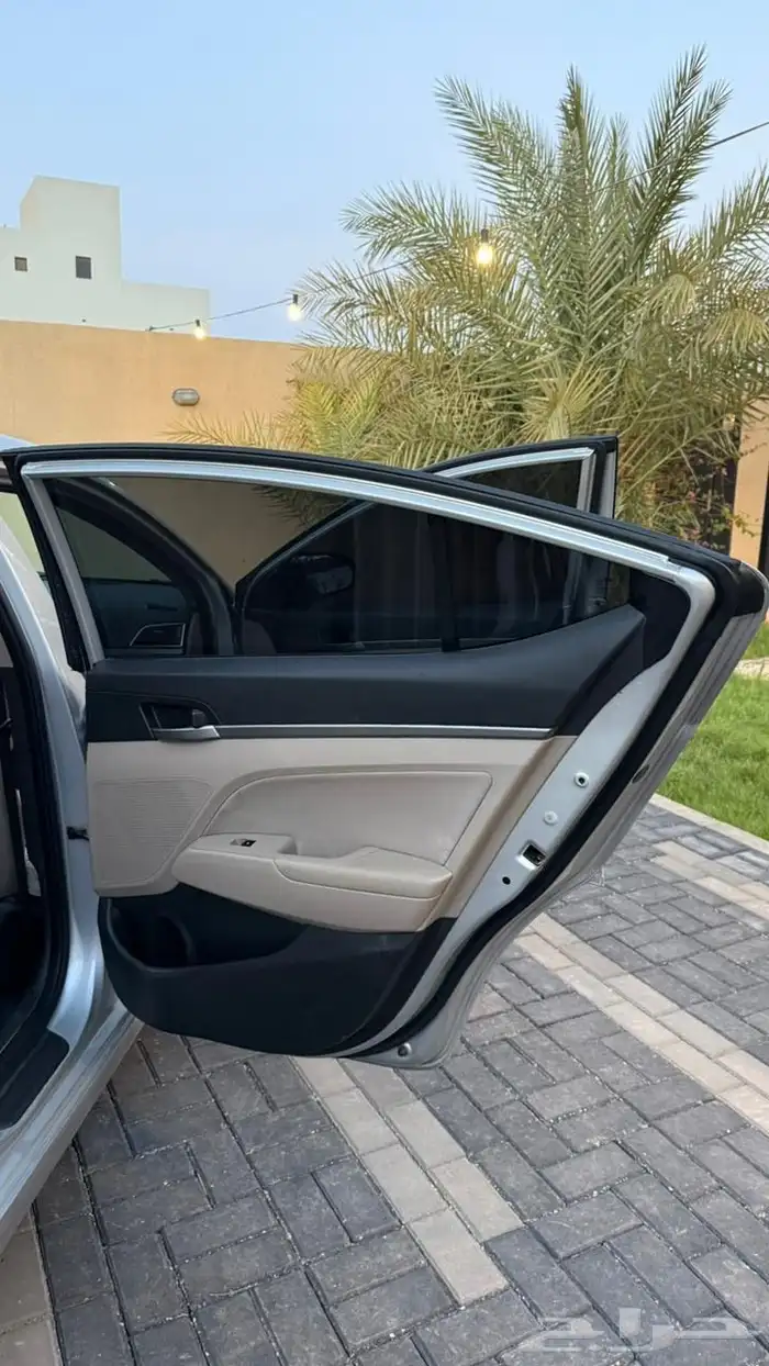 النتراء 2018 12