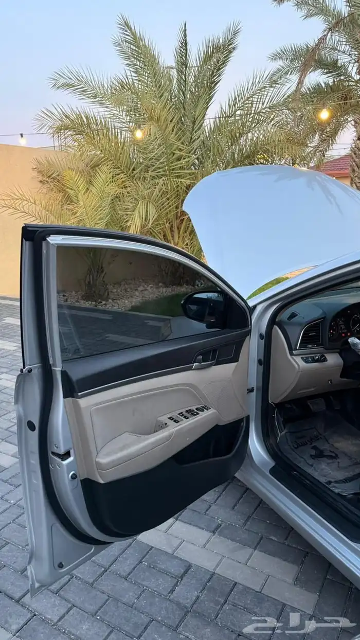النتراء 2018 14