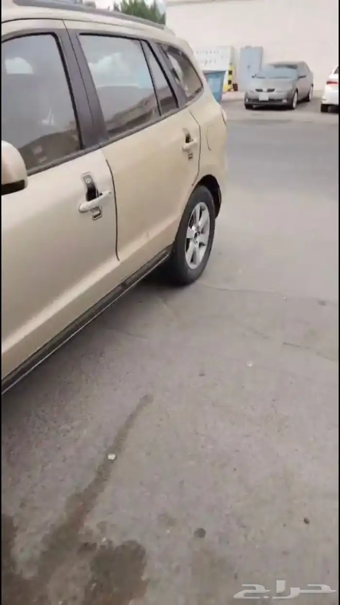 سنتافي 1
