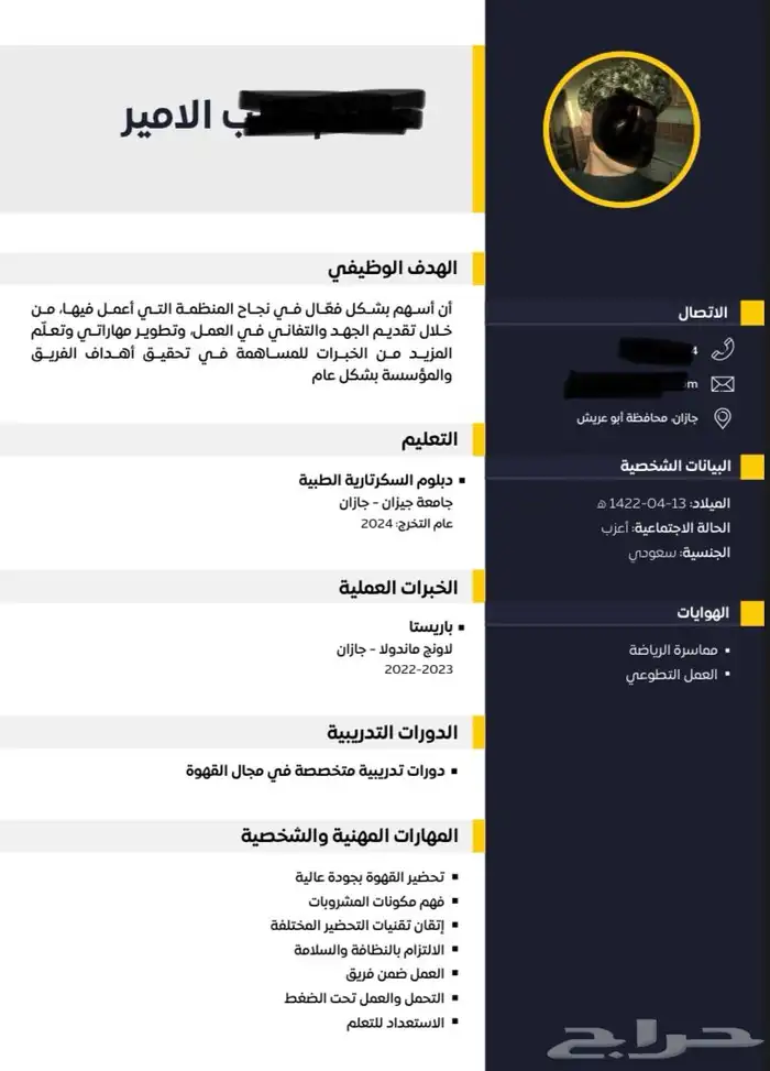 تصميم سيرة ذاتية CV بسعر رمزي 3