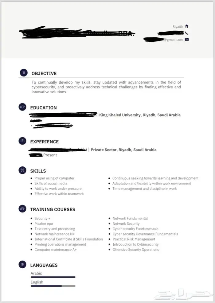 تصميم سيرة ذاتية CV بسعر رمزي 0