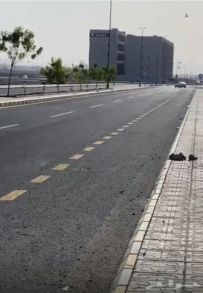ارض تجاريه بمخطط المحيسن 1