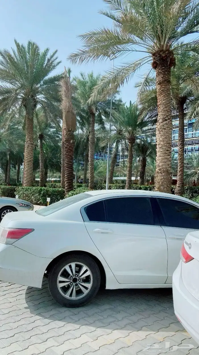 اكورد للبيع على السوم توي مغيرلها كراسي وكاله ومساعدات 0