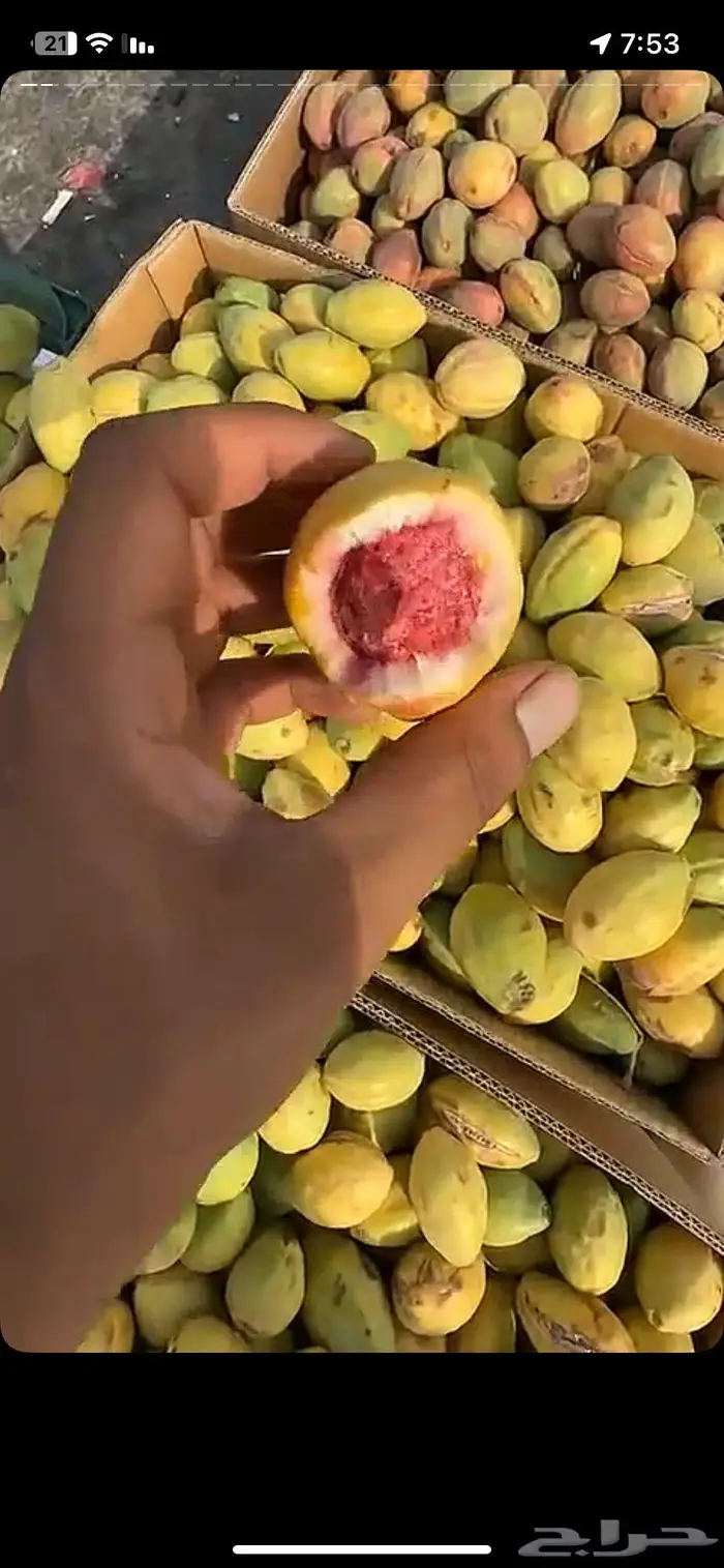 لوز ويوجد توصيل لكل المناطق 1