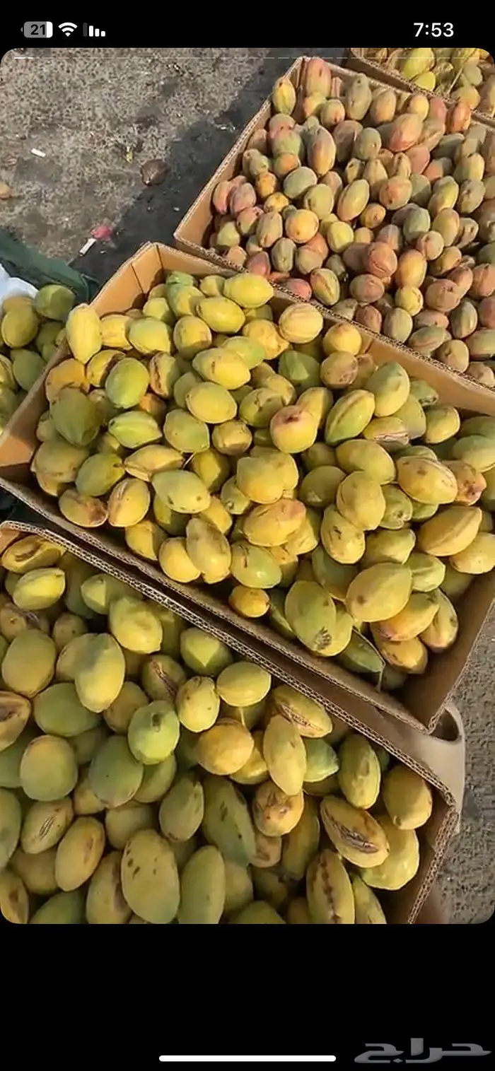 لوز ويوجد توصيل لكل المناطق 6