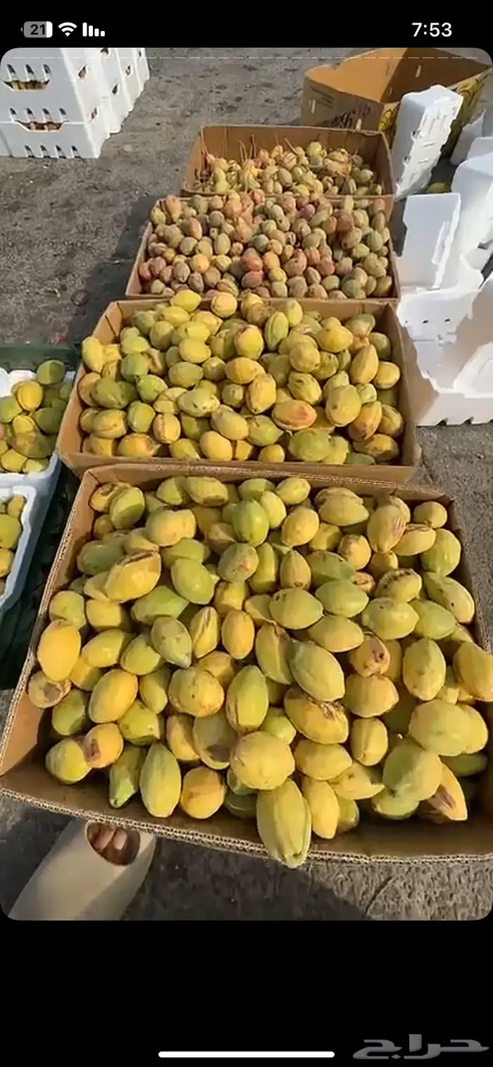 لوز ويوجد توصيل لكل المناطق 5