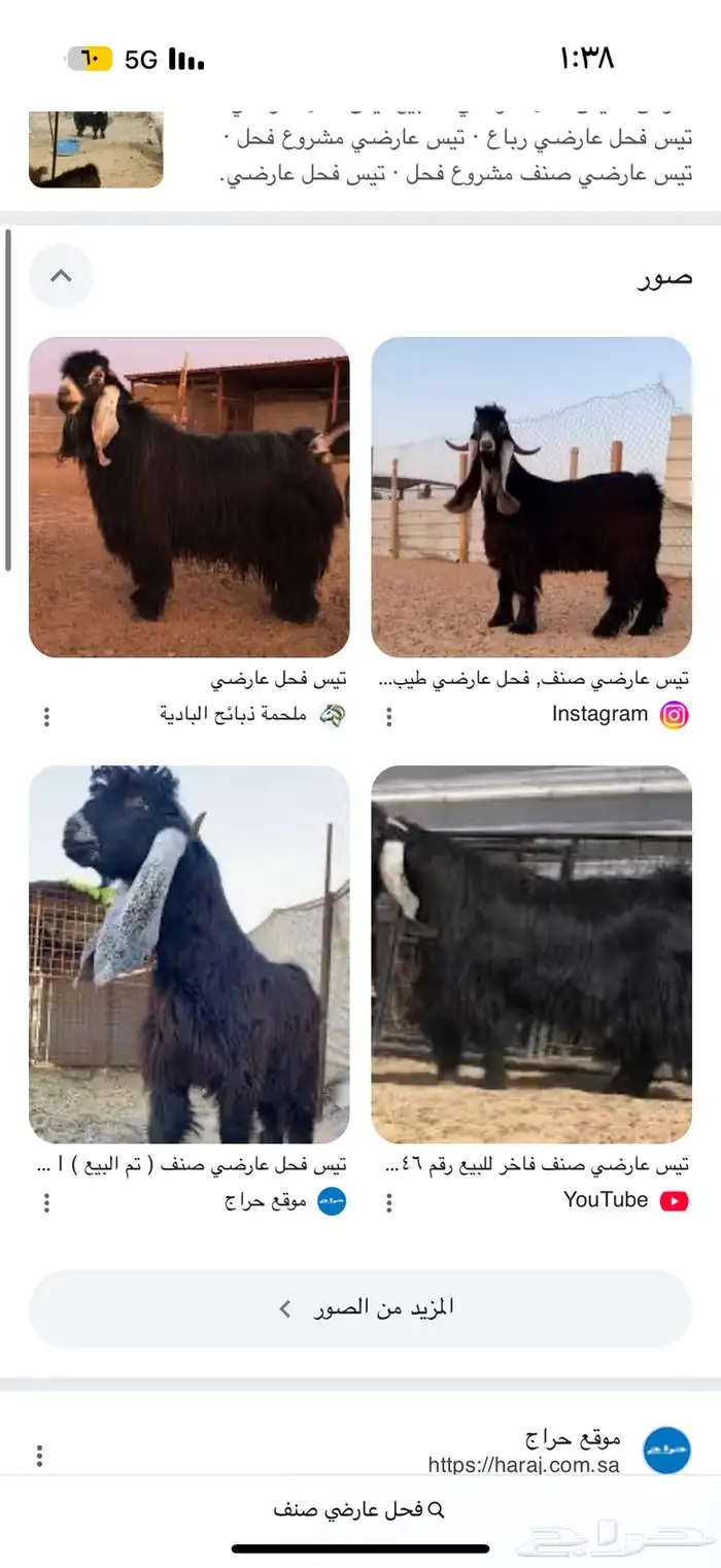 مطلوب فحل عارضي او مشروك صنف جرم راهي 0