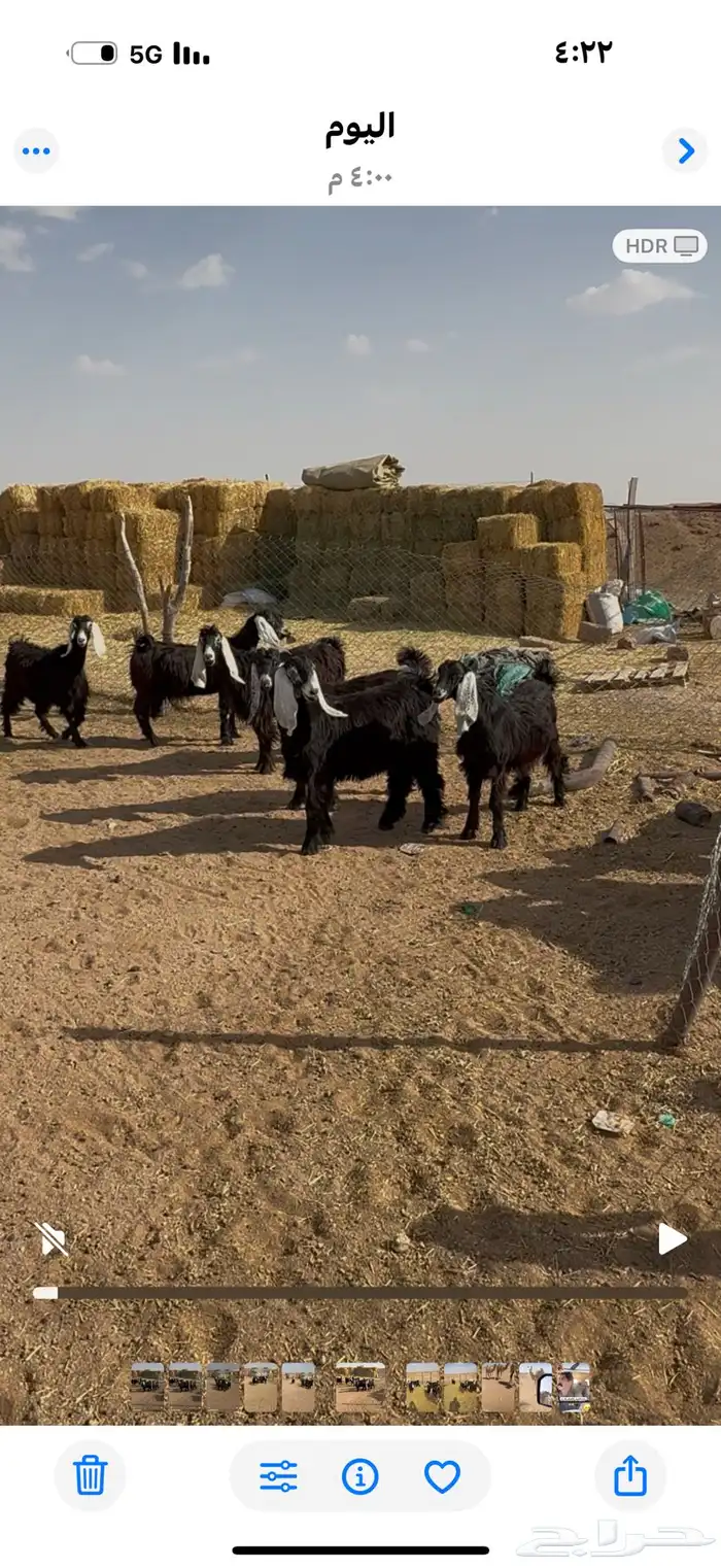 جذعات عوارض 2