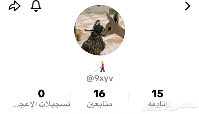 حساب تيك توك رباعي 0
