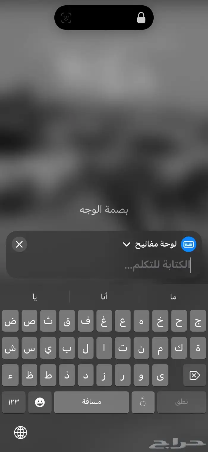 حصان كفوو جدا وسبوق وطرب حار مع الخيال وبارد مع البارد 6
