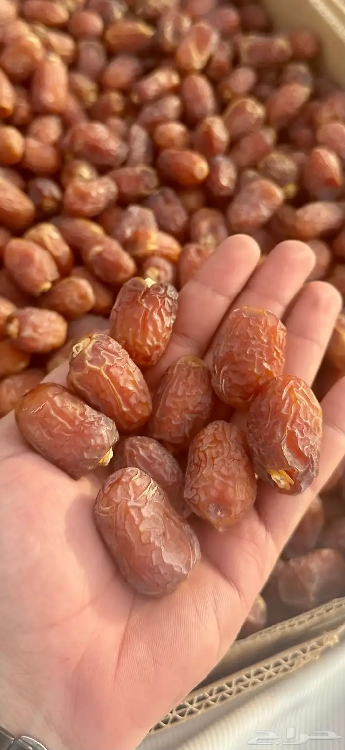 تمر اخلاص وادي 0