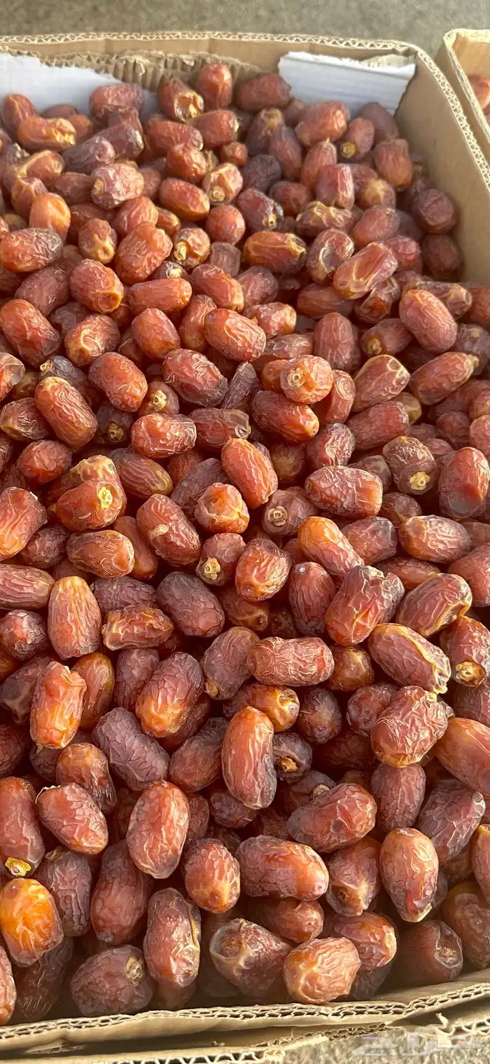 تمر اخلاص وادي 1