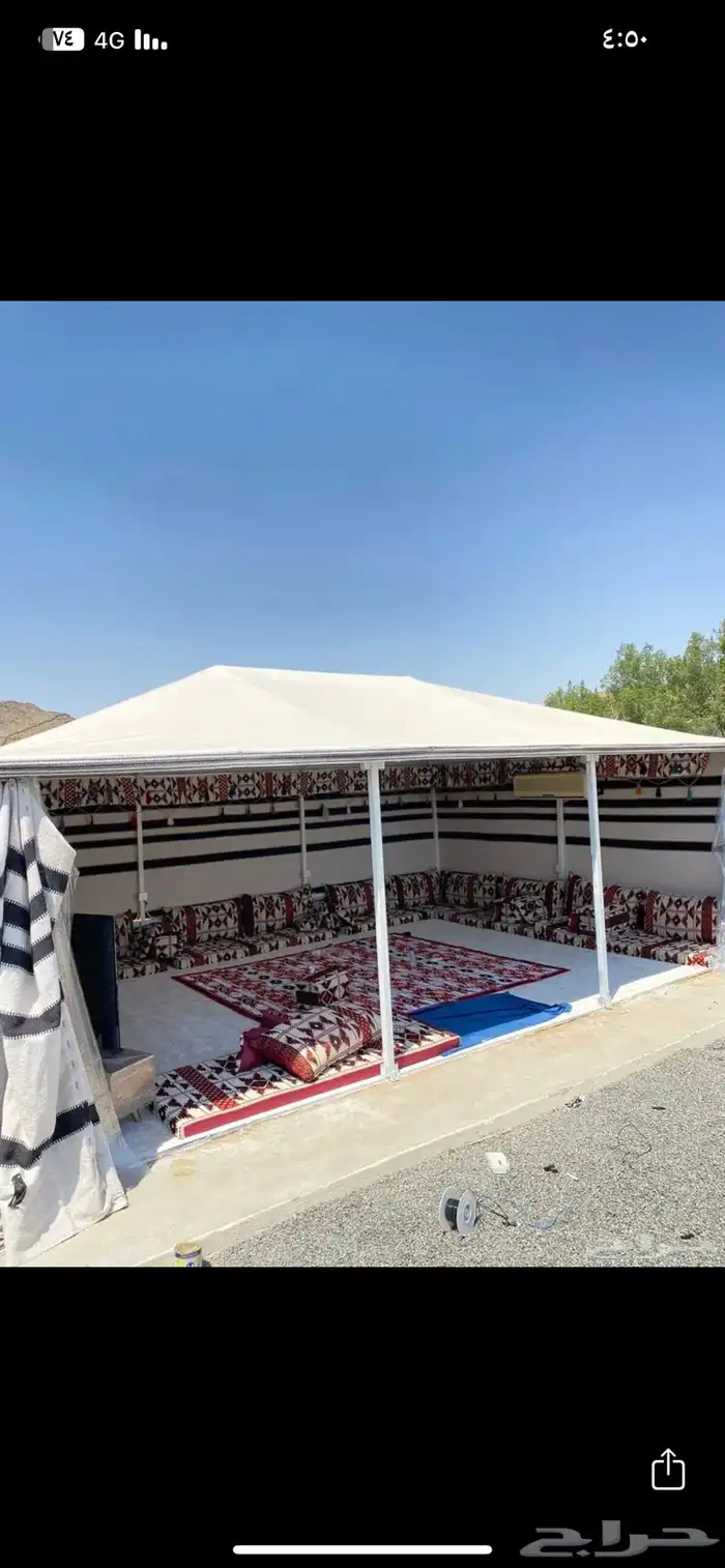 بيوت شعر البدوي بيوت شعر الملكي 11