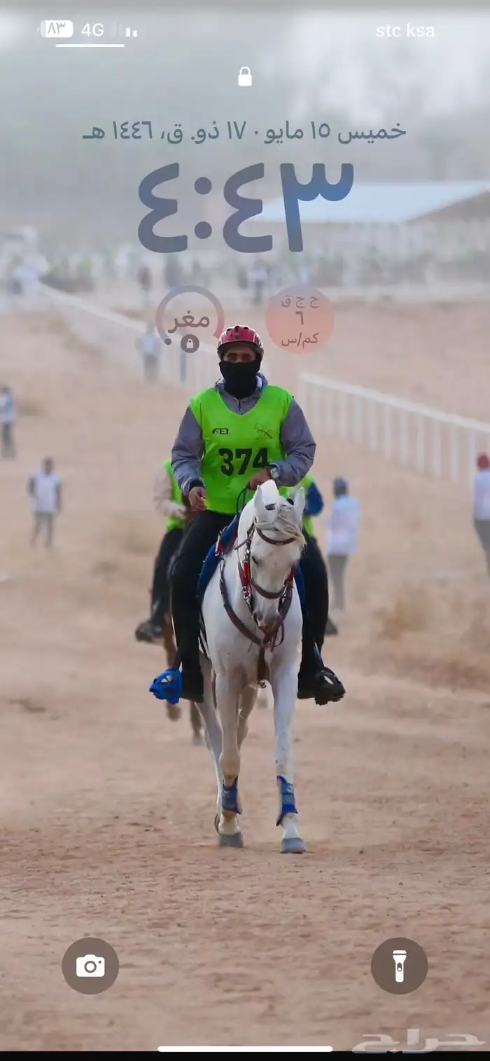 تدريب وتعليم ركوب الخيل و ايواء 3