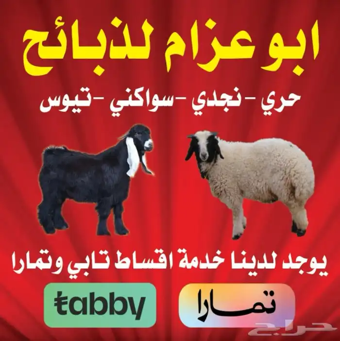 ذبايح تابي وتمار 0