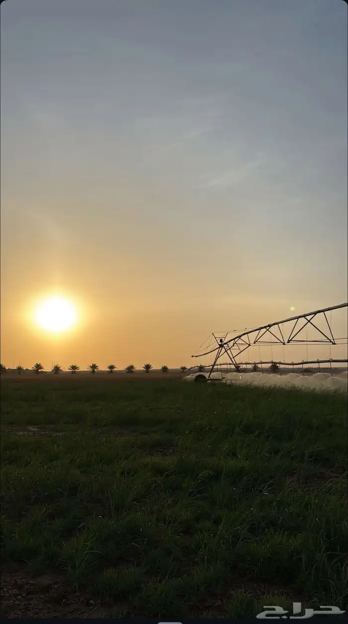 مزرعة للبيع بالمذنب الخرماء الشماليه 0