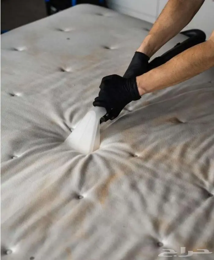 تنتظيف شقق ومجالس وفرشات ومكيفات مكافح حشرات 3