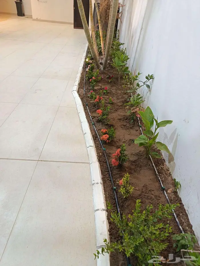 تنسيق حدائق جدة ومكة 3