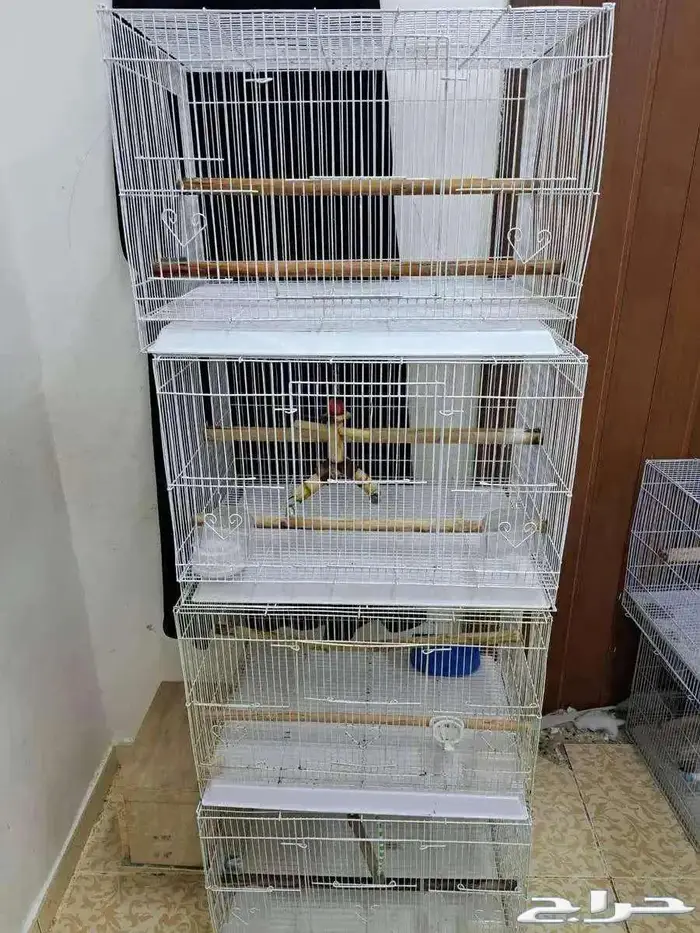 أستاند 601 مع الأقفاص (( تم البيع )) 0