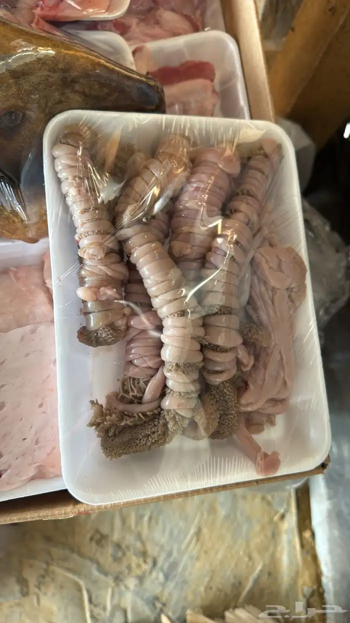 ذبايح رخال طيبه 5