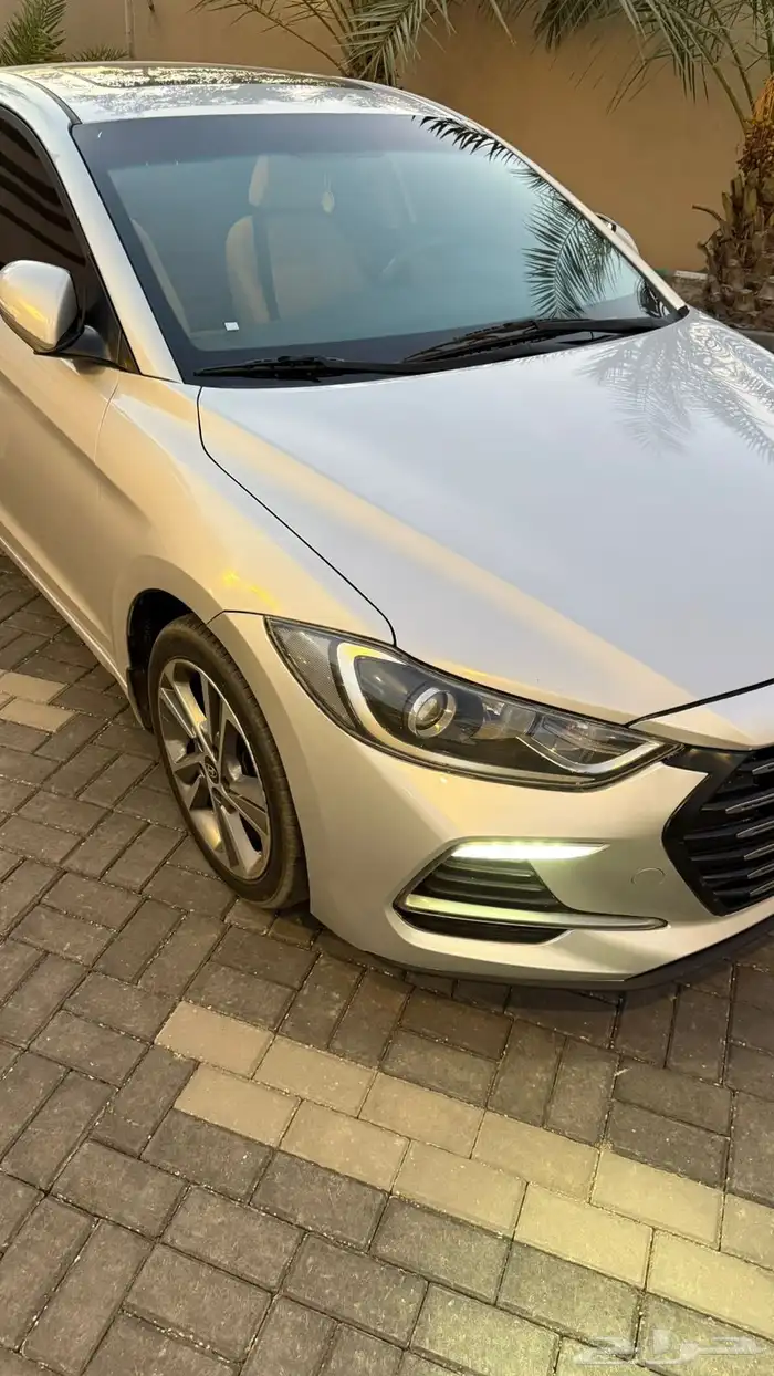 النتراء 2018 3