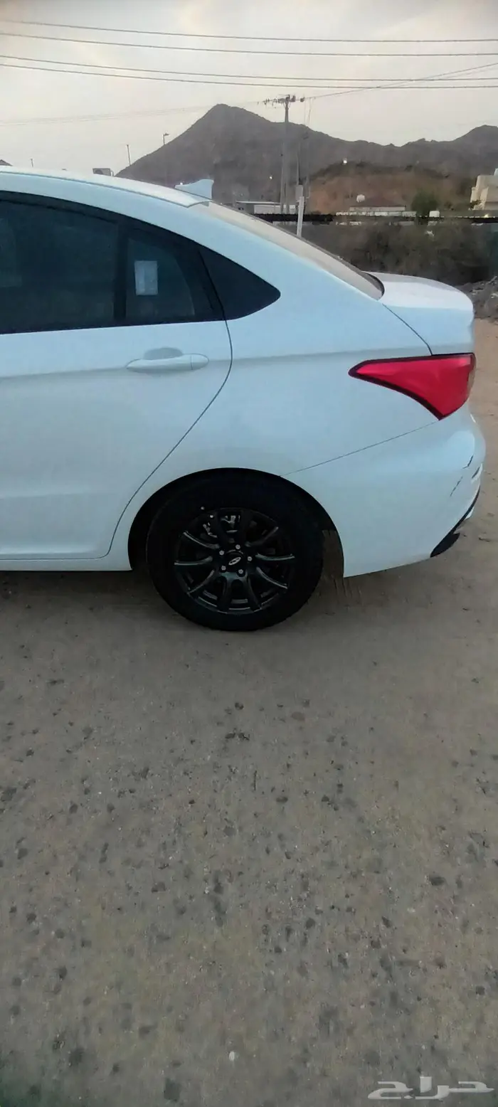 شيري اريزو5 2024 6