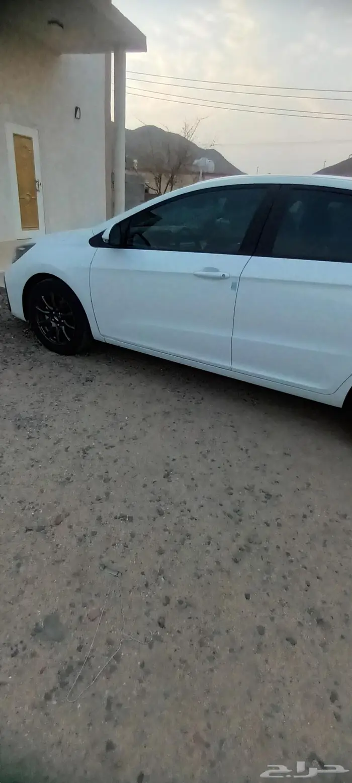شيري اريزو5 2024 5