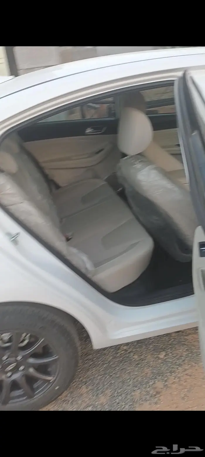شيري اريزو5 2024 3