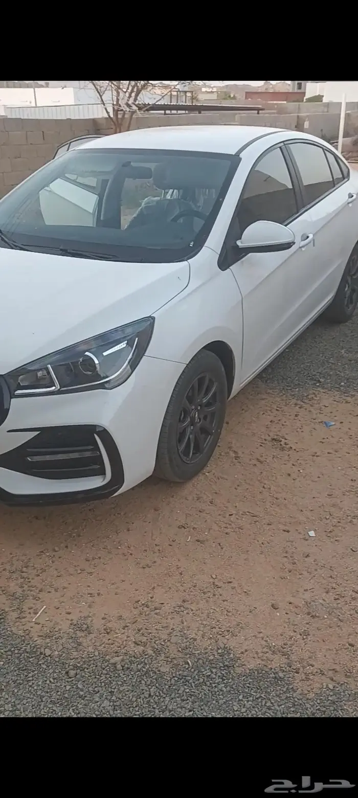 شيري اريزو5 2024 2