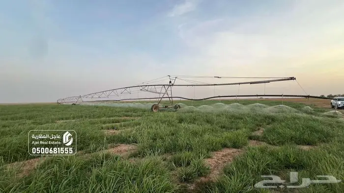 مزرعة للبيع بالمذنب بخريماء الشمالية 3