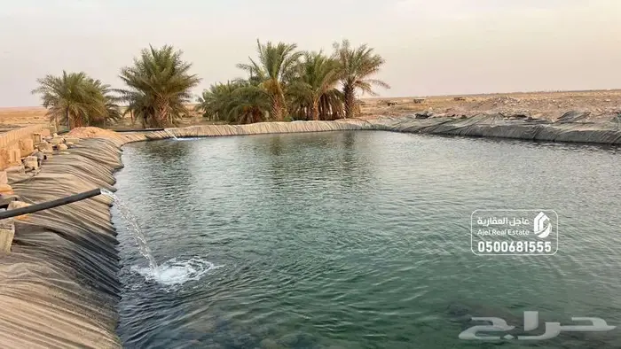 مزرعة للبيع بالمذنب بخريماء الشمالية 11