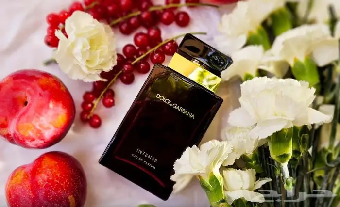 عطر دولشي اند غابانا انتينس - أصلي 3