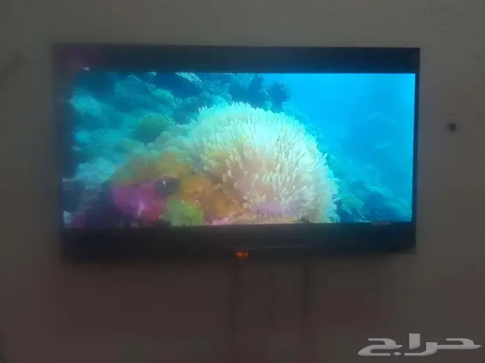 شاشة التلفزيون 1