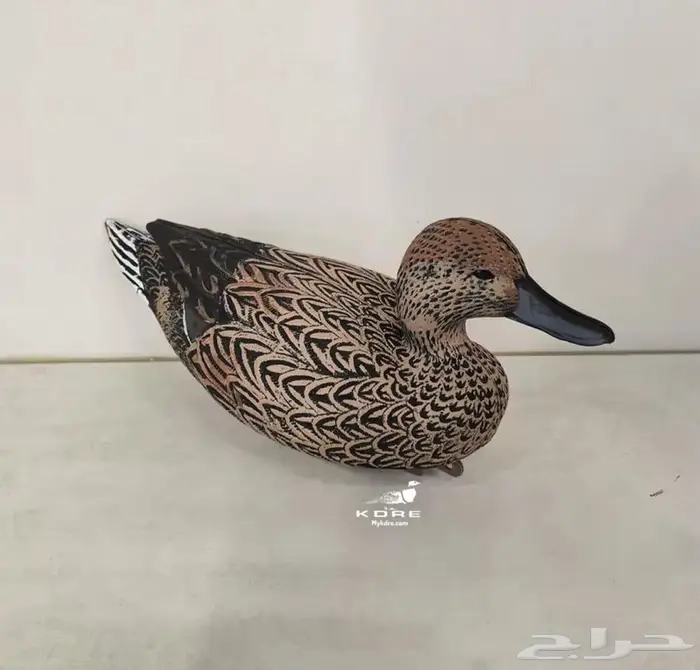 خيالات بط بلبول حذف خضيري 1