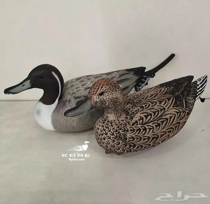 خيالات بط بلبول حذف خضيري 0