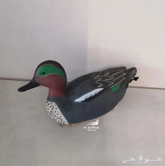 خيالات بط بلبول حذف خضيري 2