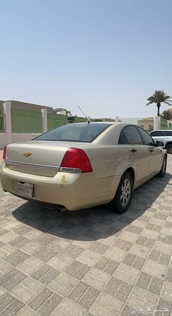كابرس LS 1