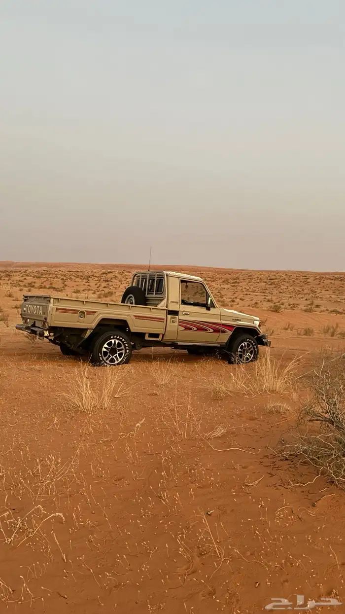 شاص 2006 دفلك 11