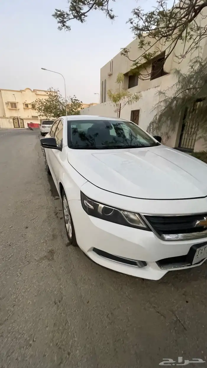 امبالا 2017 20