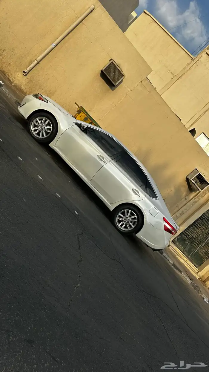 افلون 2014 12